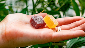 Avoiding Side Effects: How to Select Safe Delta 9 Gummies