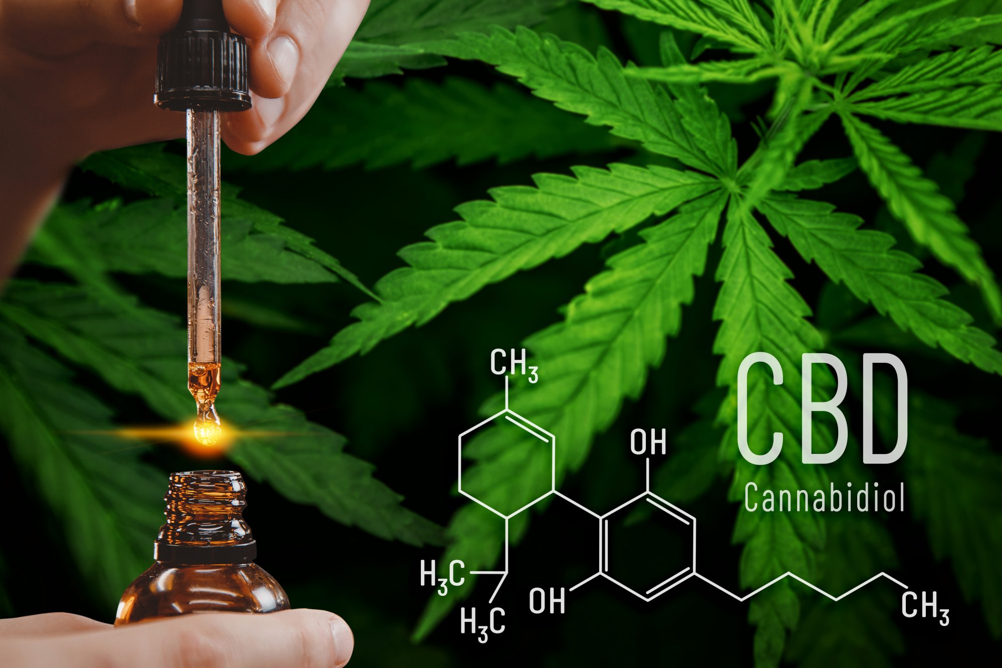 Organic Full Spectrum CBD Oil Canada